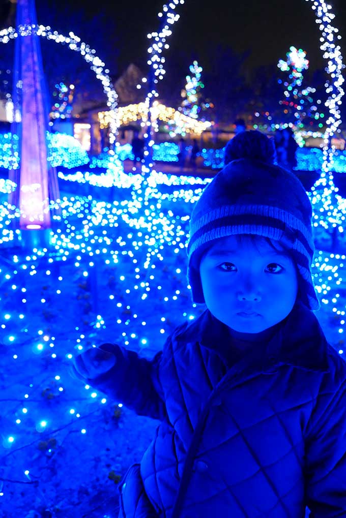 コチラが光の雲海です