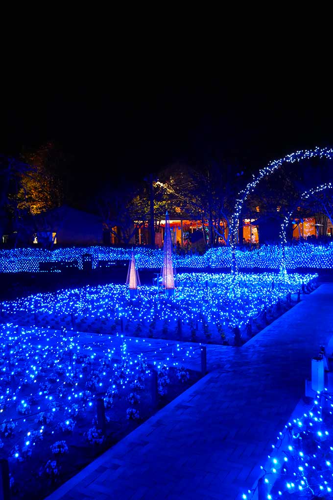 どこを撮っても絵になります