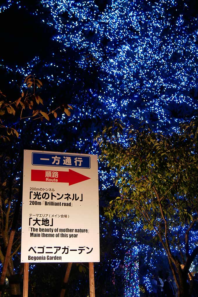 順路に沿って移動