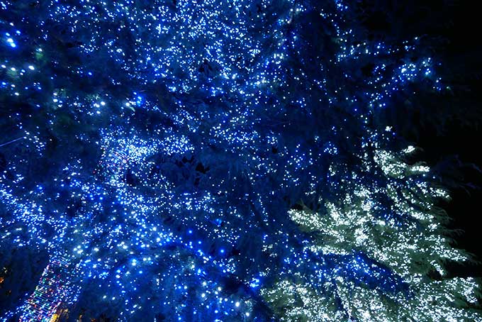 ぼんやりと綺麗なイルミネーション
