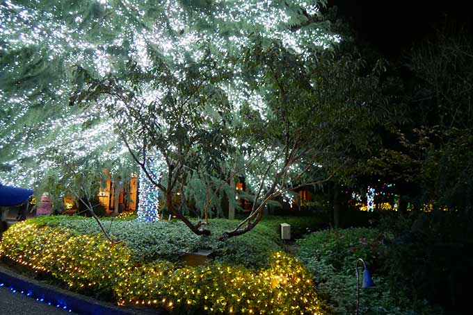 幻想的なイルミネーション