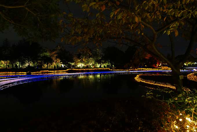 水上イルミネーション