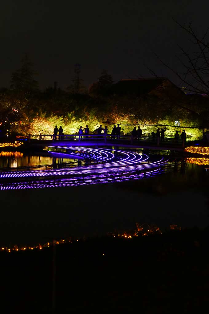 水上イルミネーション