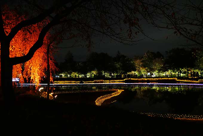 水上イルミネーション