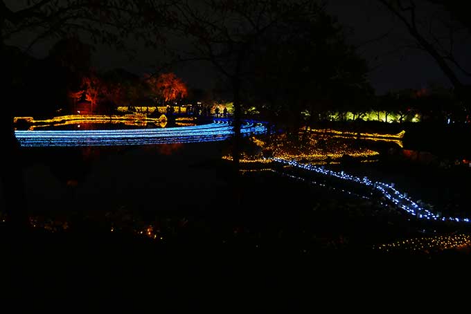 本当に綺麗なイルミネーション