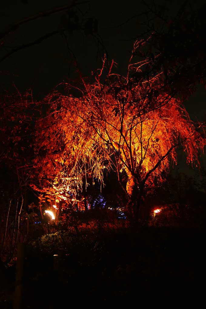 赤と黒のコントラストが最高!!