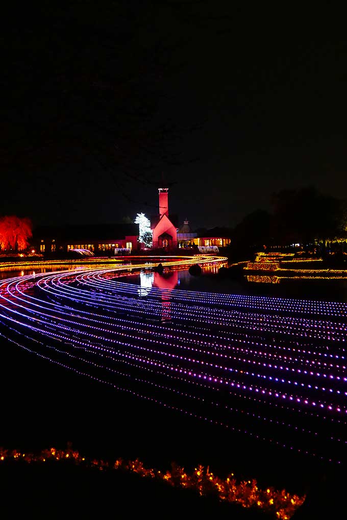 色が変わる水上イルミネーション