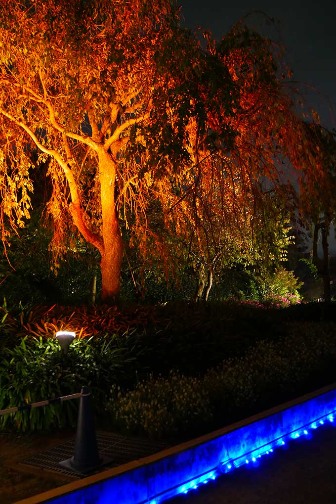 光のトンネルへ移動