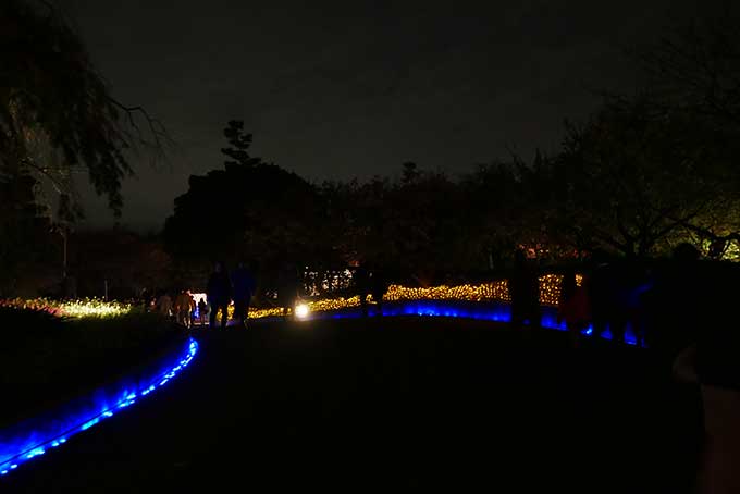 ボチボチといった混雑具合