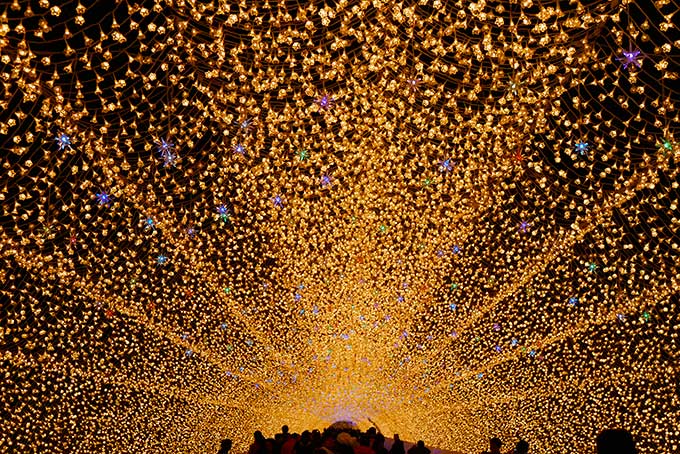 光のトンネル!!