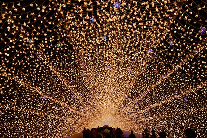 本当に綺麗なトンネル!!