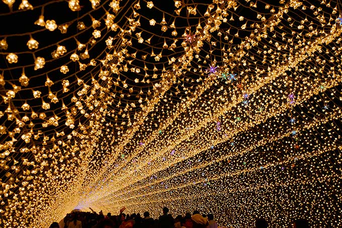 幻想的な光のイルミネーション