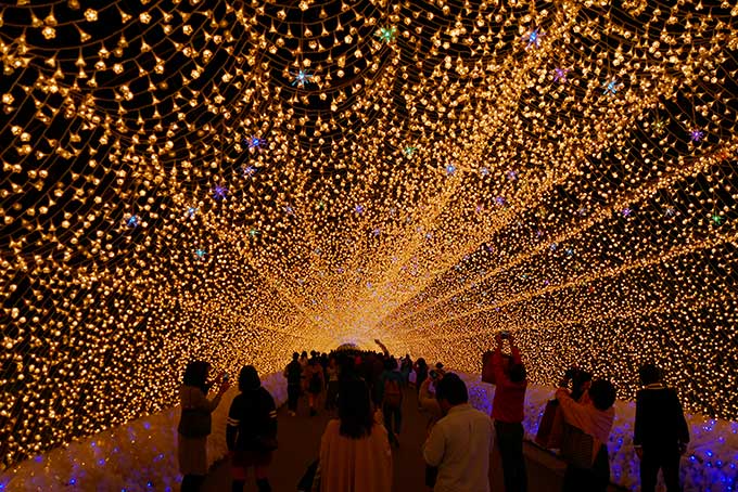 何度来ても綺麗な光のトンネル