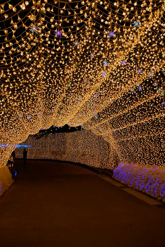 光のトンネル出口