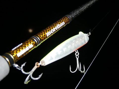 釣りは非情さ…