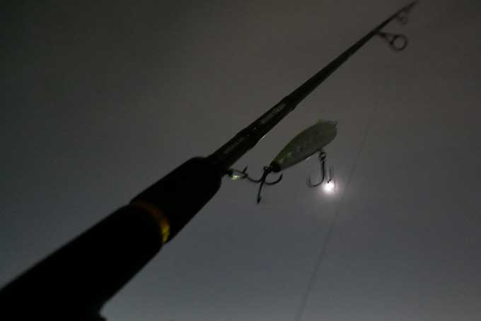 月明かりを頼りに