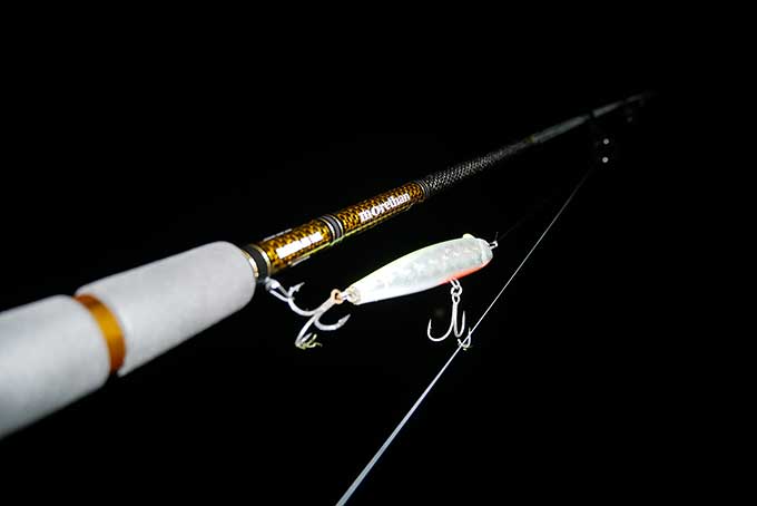 スネコンを投入