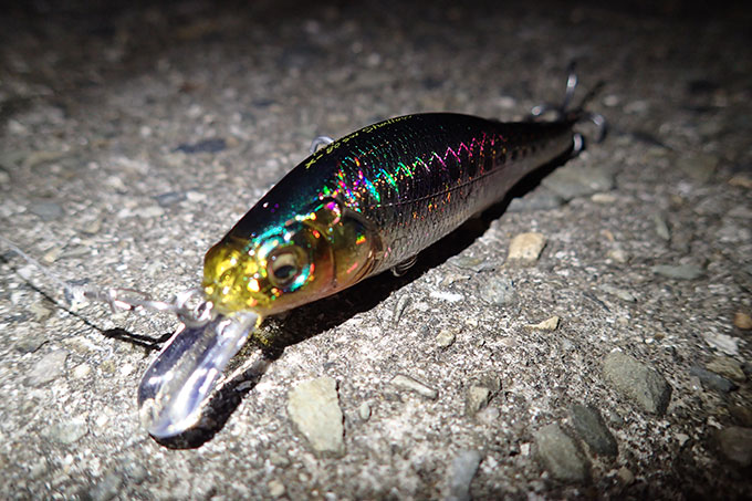 X-80SW Shallowを使った感想