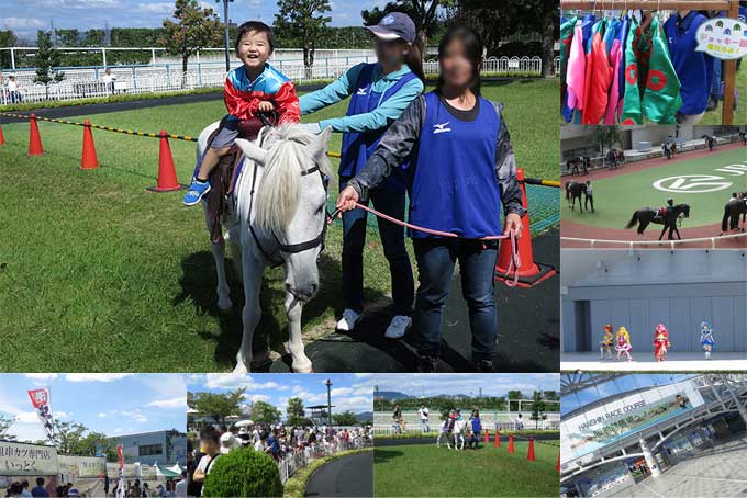 阪神競馬場【乗馬体験】