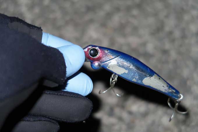 アーダ86ブルーブルー