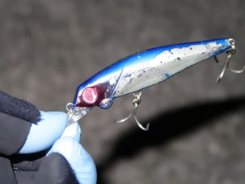 休日の釣り場は苦手です