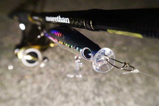 深夜のスイムチェック