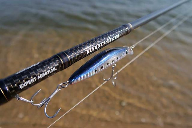 昼間のスイムチェック