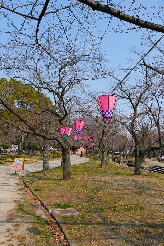 桜の季節になると屋台も出ます