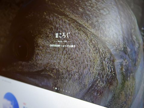 【重要!!】新ブログを開設!今後の当ブログについて!!