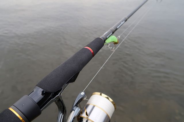 久しぶりの釣り気分も