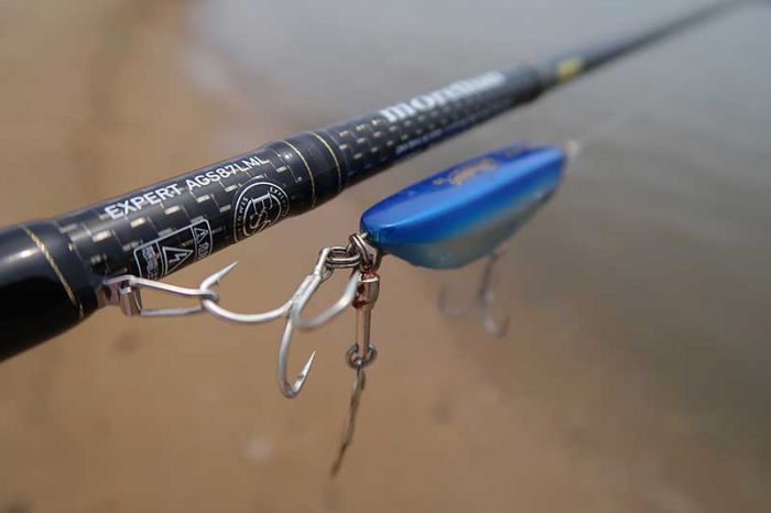 シャルダス20のスイムチェック