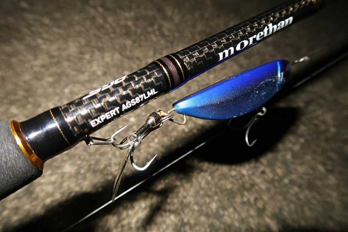 シャルダス20のスイムチェック