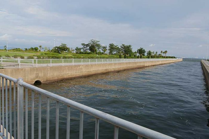釣りに良さそうな水路
