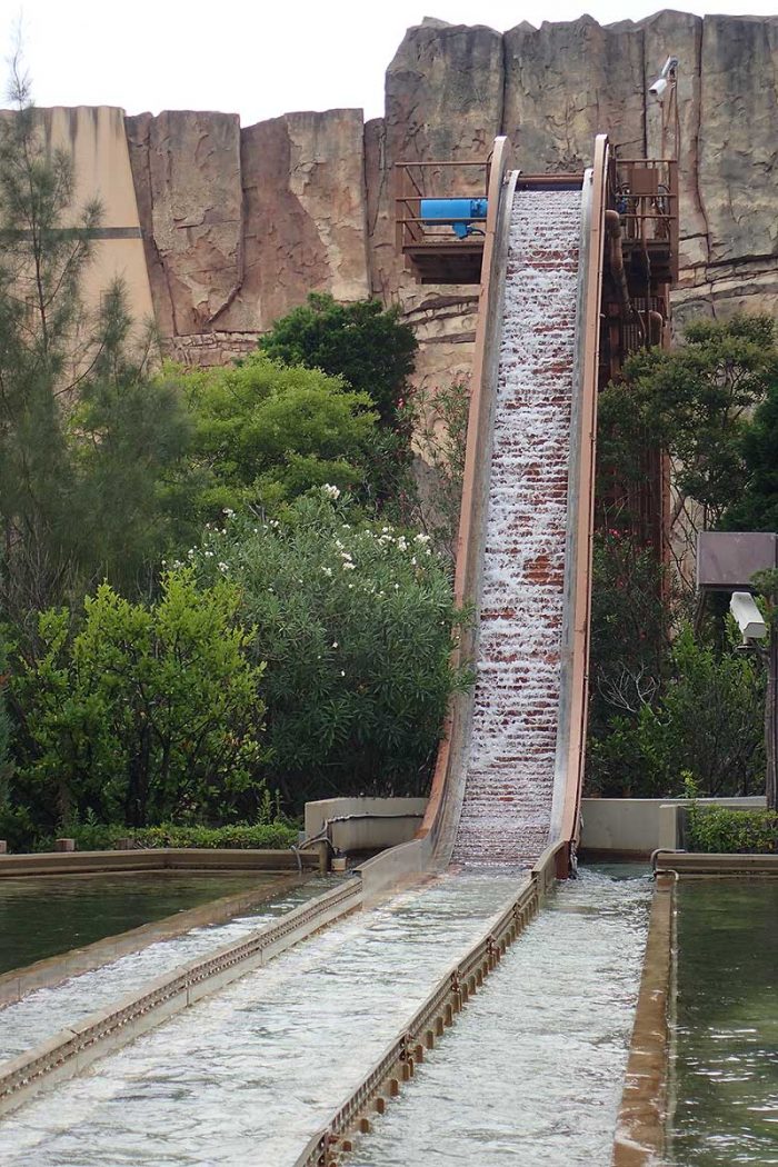 眺めていると…