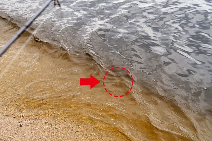 視界は10cmあるなし