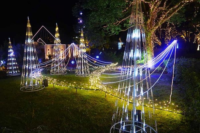 ライトアップされた中庭