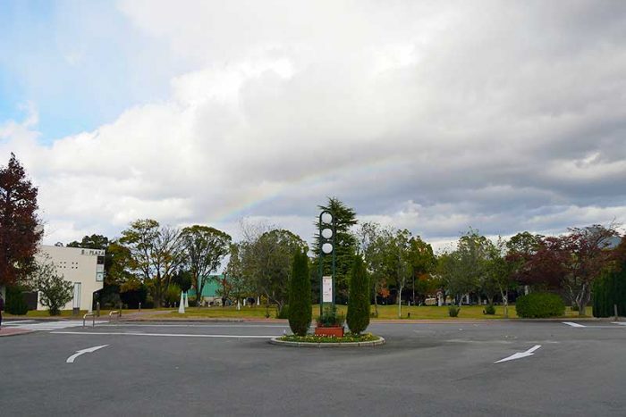 綺麗な虹が出ていました!!