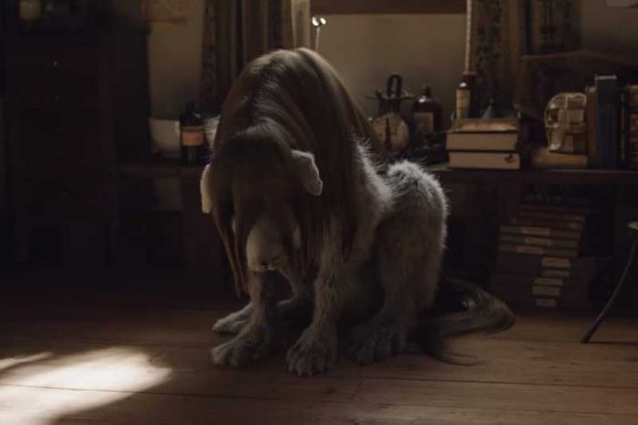 錬成されたキメラ