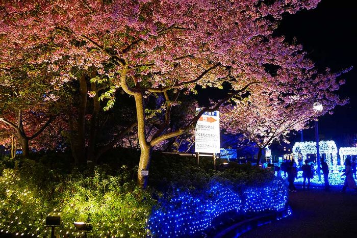 まずは光の雲海へ