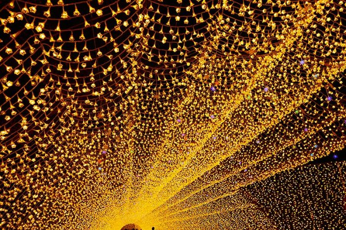 歩くのがもったいない