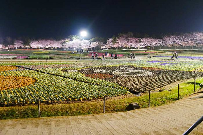 くまモンの花畑