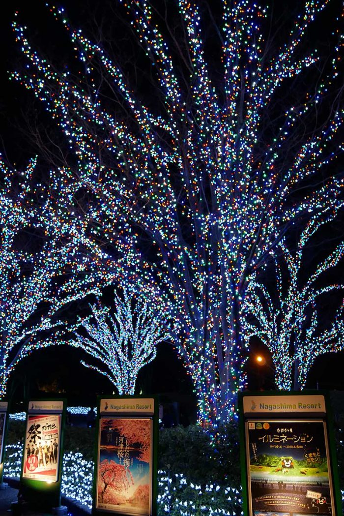 帰り道もライトアップ