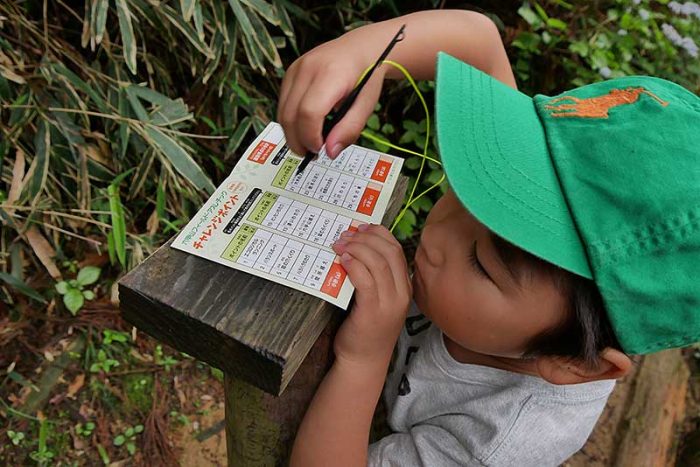 シートに得点を記入