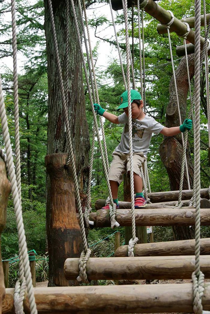 吊橋の上を移り渡る