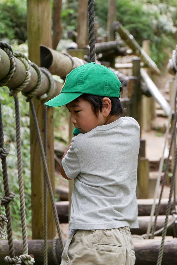 丸太の上を渡り歩く