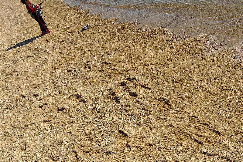 砂浜に残った足跡