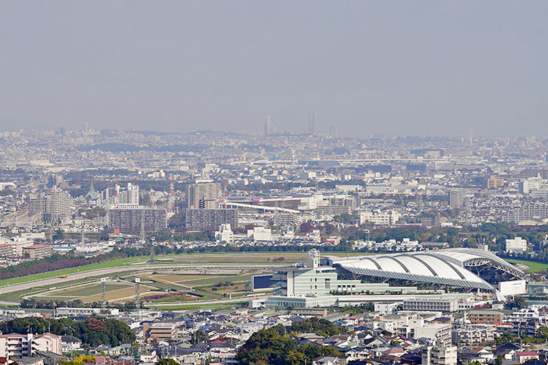展望台から阪神競馬場