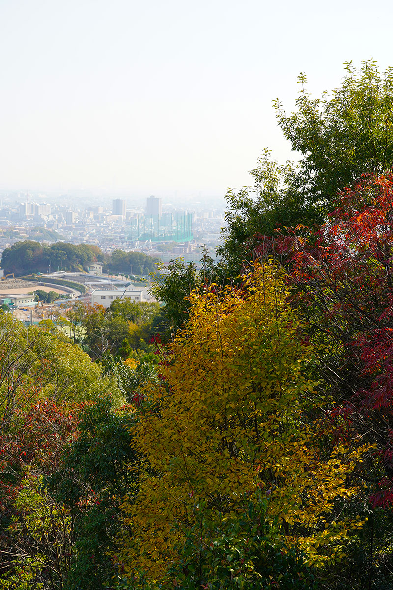 阪神の街並みと紅葉