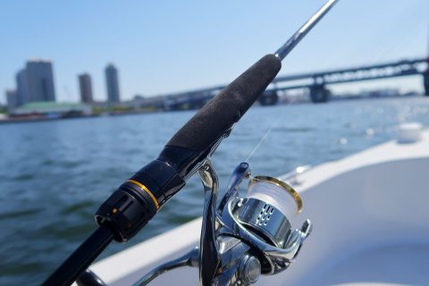 ここが違うよボートシーバス!オカッパリとの比較と特徴