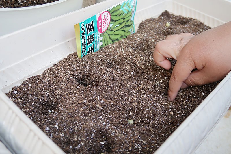 指で土に穴をあける